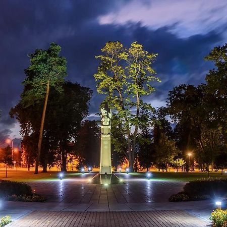 Marijampole Apartment With Free Parking Luaran gambar